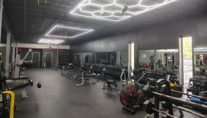 Fitness & Wellness
